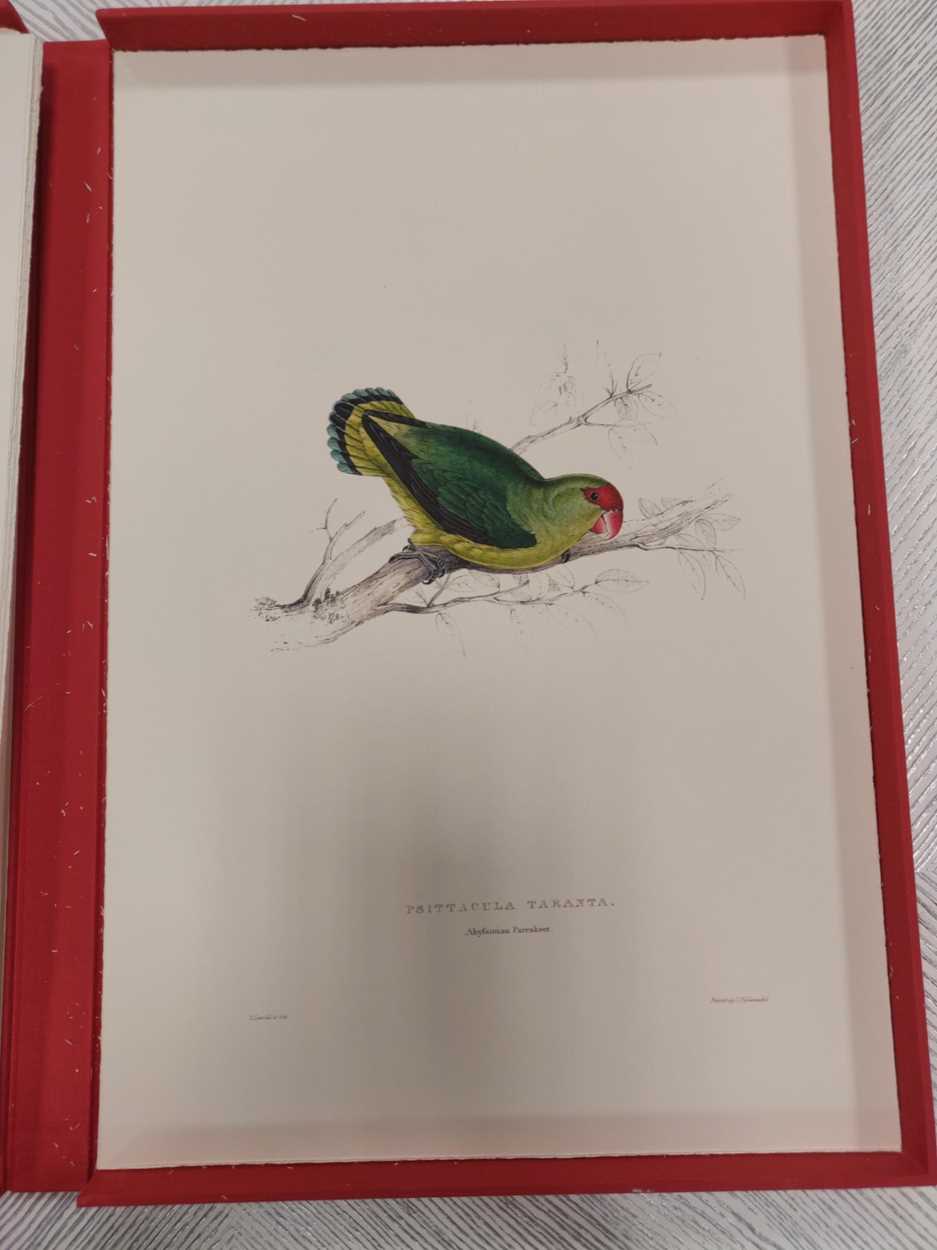 A box set of reproduction prints of parrots after Edward Lear; together with a box set of - Image 10 of 11