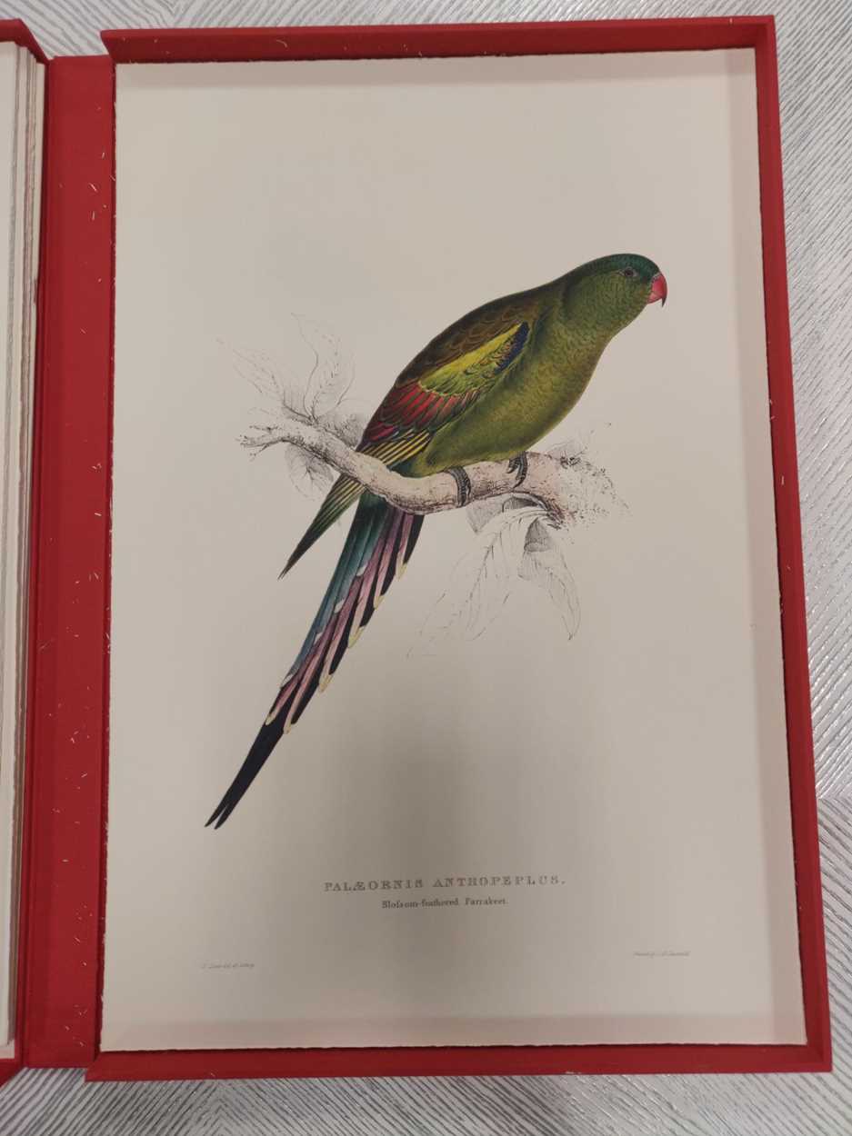 A box set of reproduction prints of parrots after Edward Lear; together with a box set of - Image 9 of 11