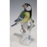 A Meissen model of a great tit perched on a branch, blue cross sword mark to base 13cm high