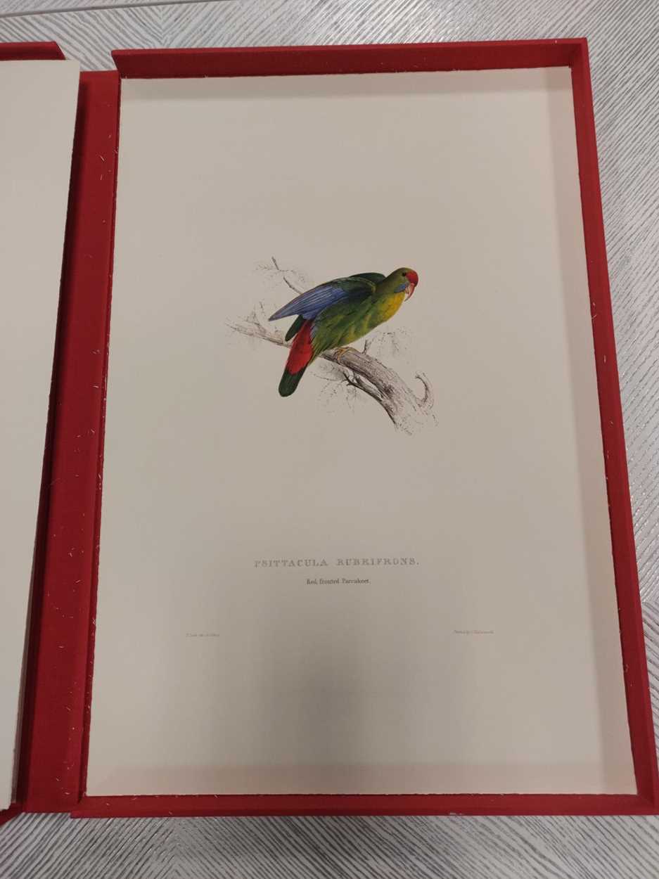 A box set of reproduction prints of parrots after Edward Lear; together with a box set of - Image 11 of 11