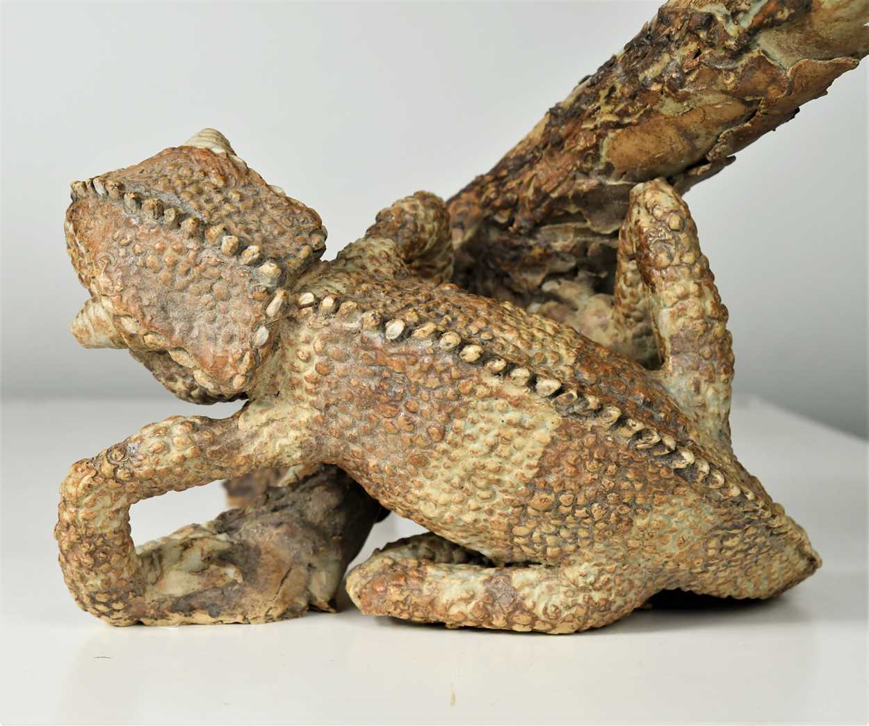 § David Cooke (1970-), a ceramic sculpture of a chameleon on a branch, 1996, - Image 6 of 12