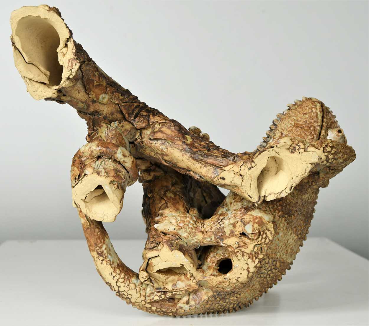 § David Cooke (1970-), a ceramic sculpture of a chameleon on a branch, 1996, - Image 11 of 12
