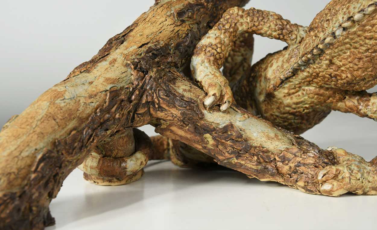 § David Cooke (1970-), a ceramic sculpture of a chameleon on a branch, 1996, - Image 9 of 12