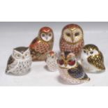Six Royal Crown Derby porcelain imari pattern model owls, to include Tawny Owl, Short Eared Owl,