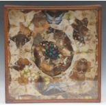 Lepidopterology - a collection of 19th century cased specimens of moths and butterflies, 44 x 43 x