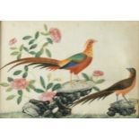 Chinese School, 19th century, six studies of Fruit, Flowers and Pheasants, on pith paper,