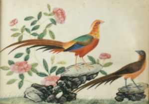 Chinese School, 19th century, six studies of Fruit, Flowers and Pheasants, on pith paper,