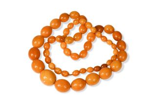 A string of fifty-five graduated amber beads,