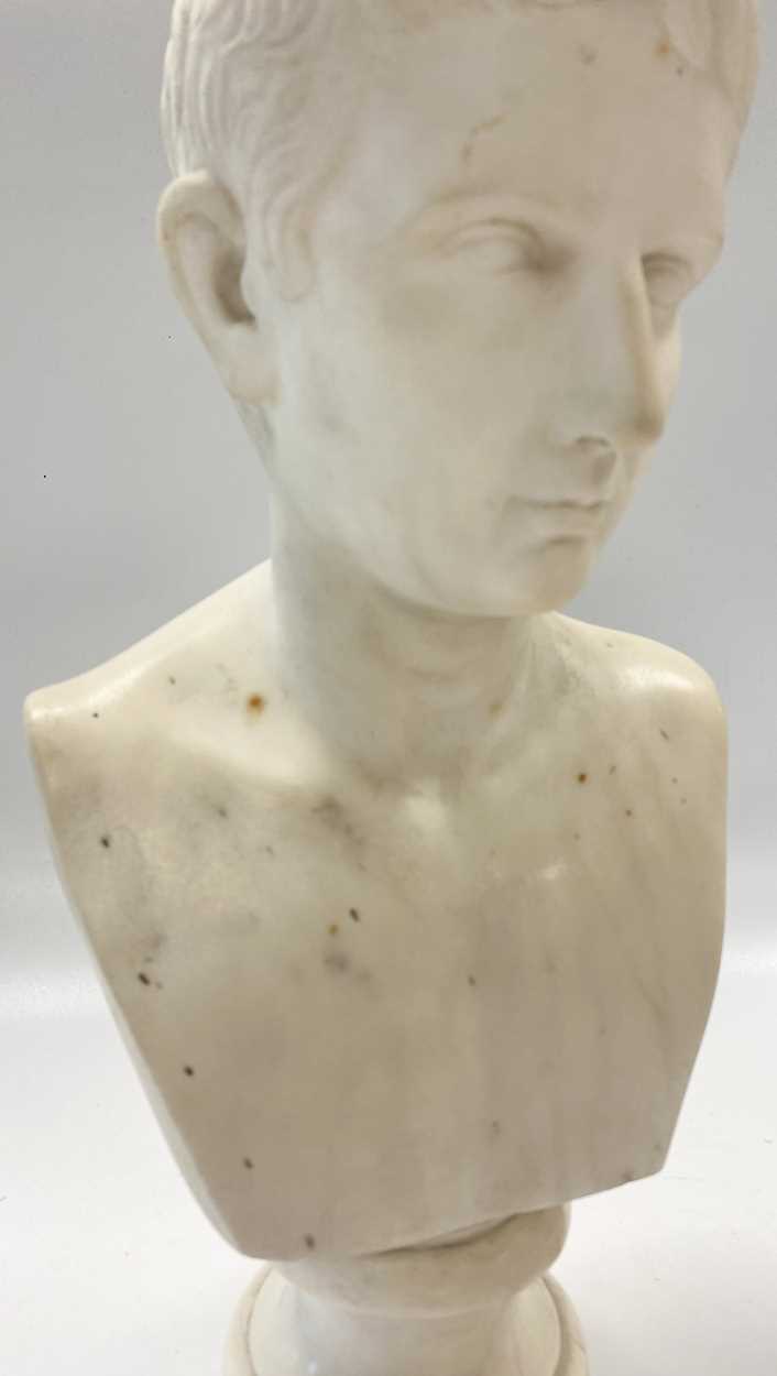 A Grand Tour marble bust of the young Octavius, 19th century, - Image 3 of 5
