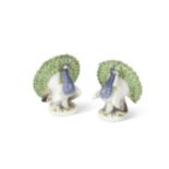 A pair of Meissen models of peacocks,