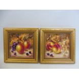 A pair of small gilt framed hand painted porcelain plaques, still life scenes of fruit, signed N.