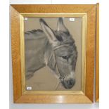 Frank William Wilkin (British, 1791-1842), Head of a Donkey, charcoal and coloured chalks on grey