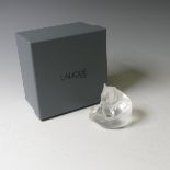 A Lalique frosted glass Panda Paperweight, with etched signature to base, with Presentation Box