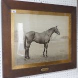 Horse Racing interest: 'Faithful Don' (1903) Hartstown - Donna Fidelia, a black and white photograph
