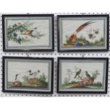 A set of four Chinese Export paintings of Birds, Qing Dynasty, 19th century, on pith paper, each