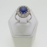 A sapphire and diamond cluster Ring, the oval facetted sapphire (7.75mm x 8.4mm x 4.75mm) claw set