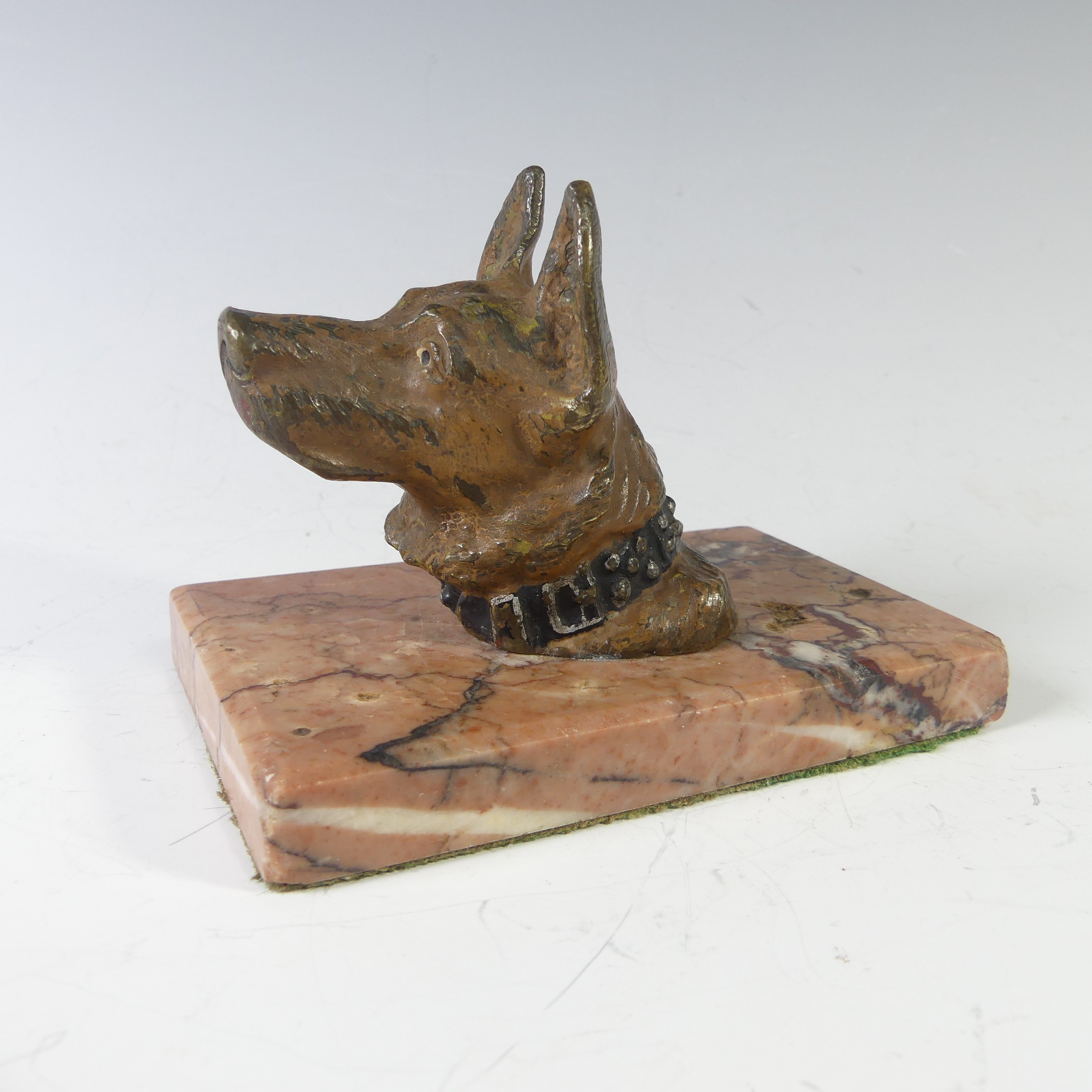 An Austrian cast bronze cold painted German Shepherd head, on marble base, note wear to the paint on - Image 3 of 6