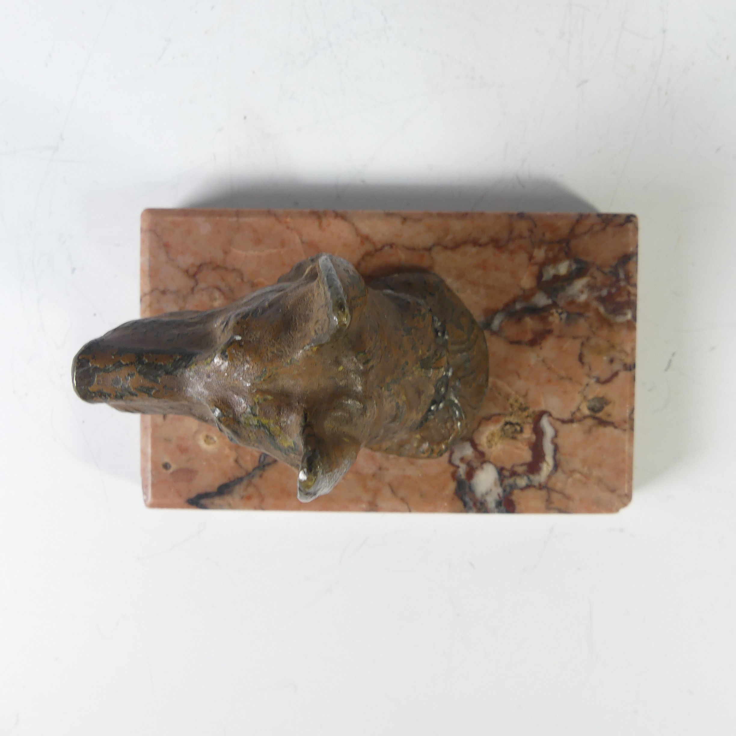 An Austrian cast bronze cold painted German Shepherd head, on marble base, note wear to the paint on - Image 6 of 6