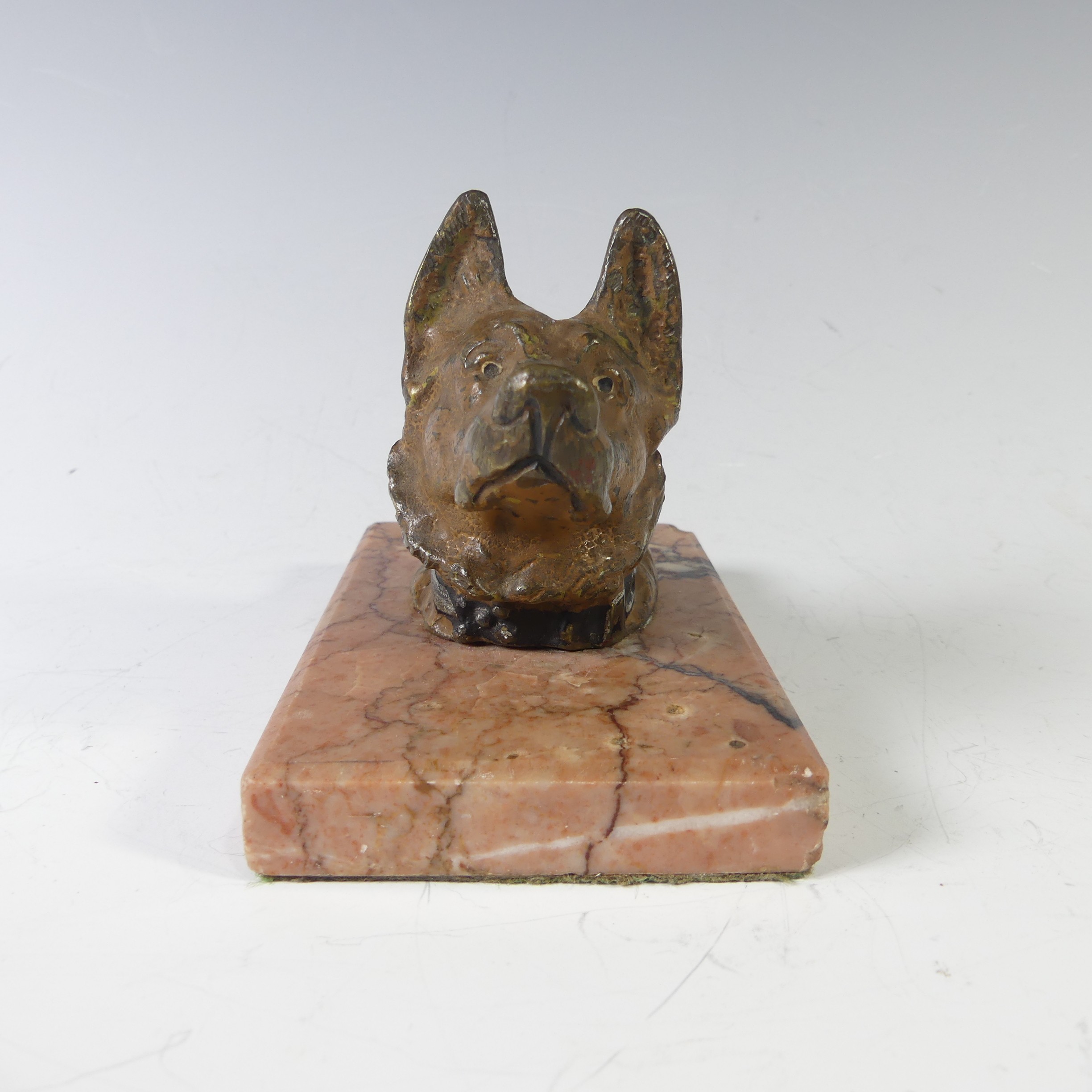 An Austrian cast bronze cold painted German Shepherd head, on marble base, note wear to the paint on - Image 2 of 6