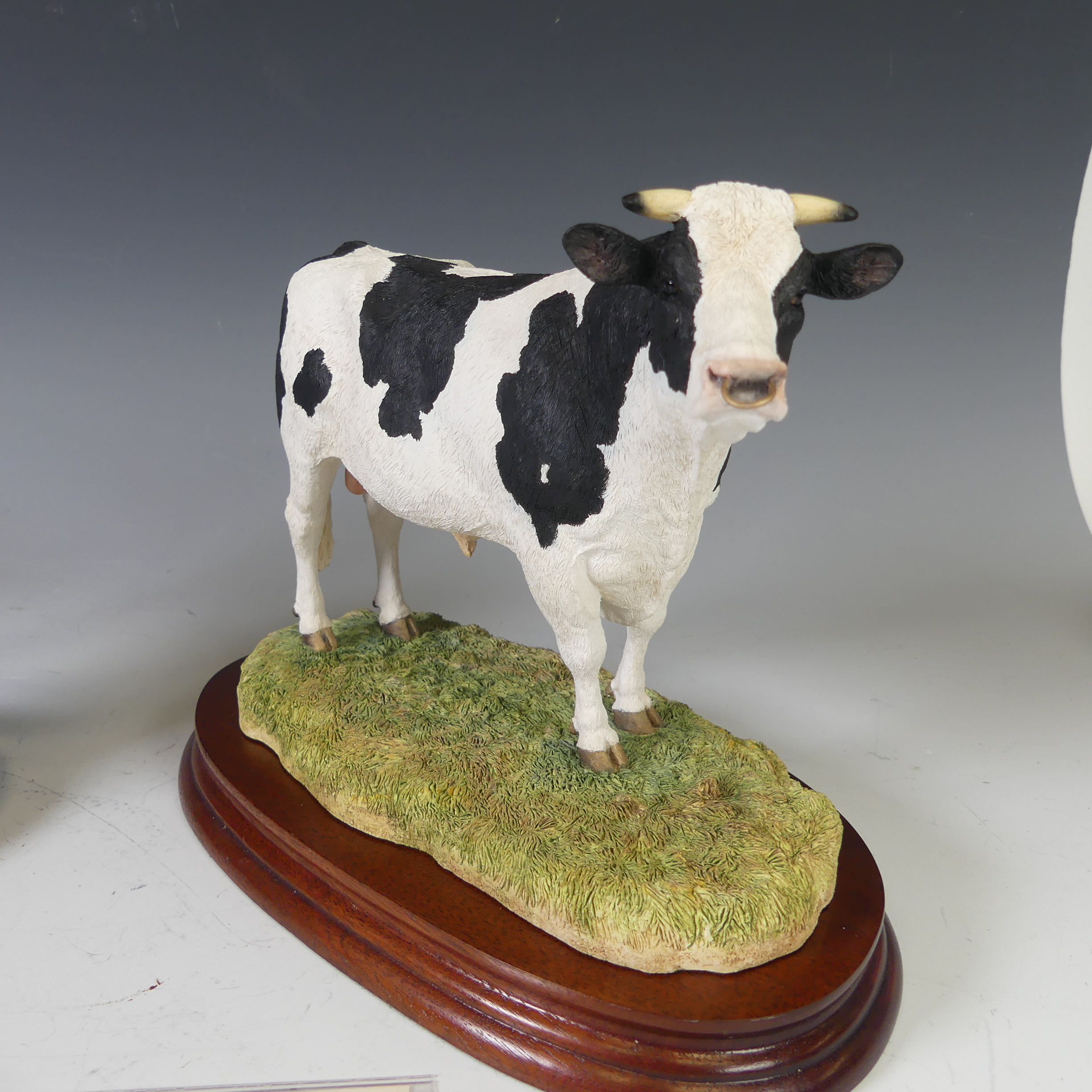 Border Fine Arts; Three boxed figures, including two limited editions; The 'Holstein Friesian - Bild 4 aus 17
