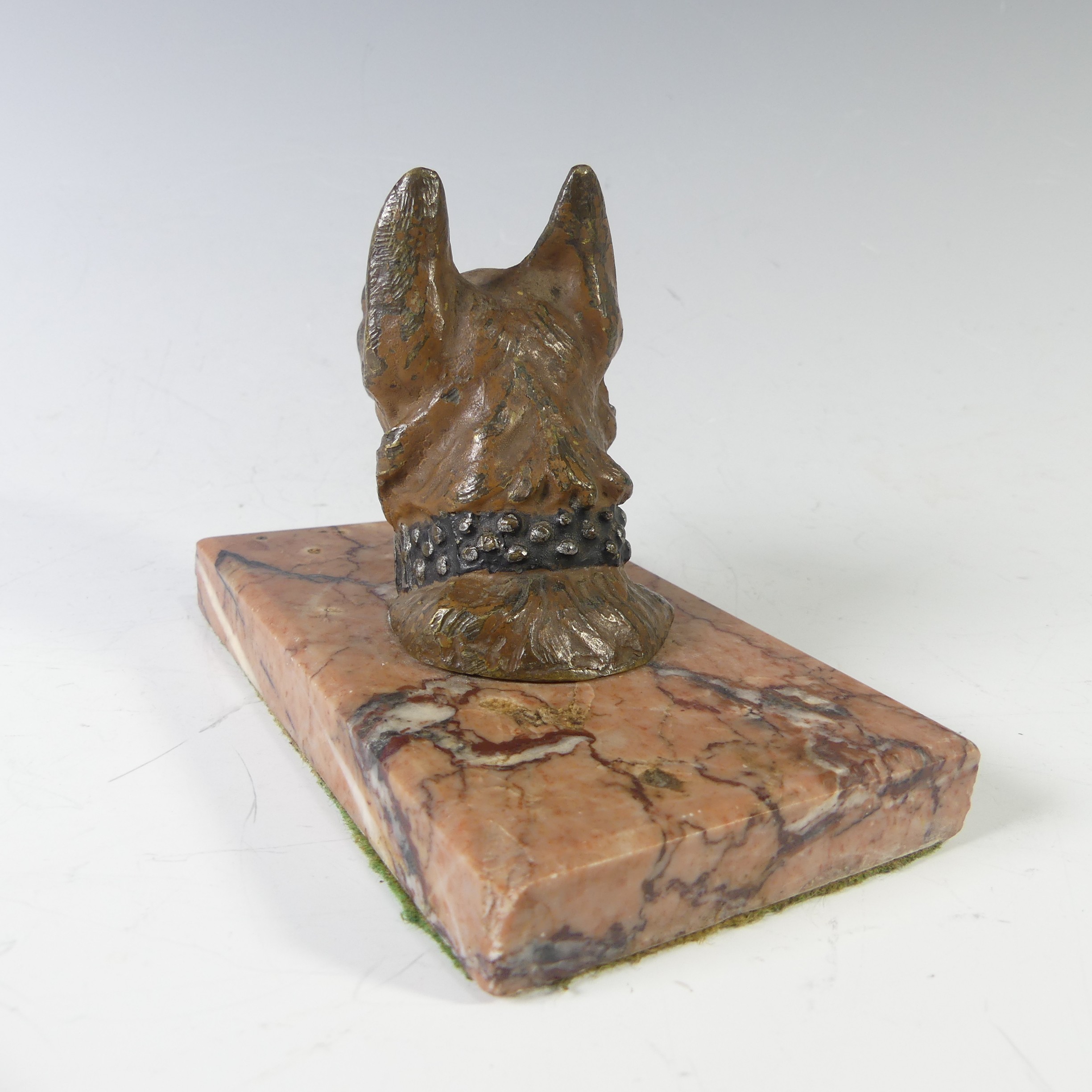 An Austrian cast bronze cold painted German Shepherd head, on marble base, note wear to the paint on - Image 4 of 6