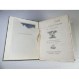 Barrie (J.M); 'Peter and Wendy', first edition, Hodder and Stoughton (1911), original green cloth