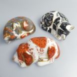 A Royal Crown Derby 'Catnip Kitten' Paperweight, together with 'Misty', boxed and 'Puppy', all