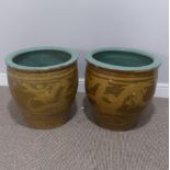 A pair of large 20thC Chinese Planters/Egg Jars, of brown ground with yellow dragon decoration, H