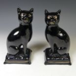 A pair of antique Jackfield seated Cats, on seated cushion and gilt line plinth base, H 19.5cm,