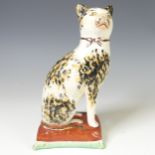 A mid 19thC Staffordshire pottery figure of a seated Cat, white ground with sponged ochre and