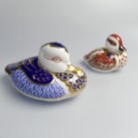 A Royal Crown Derby 'Swimming Duckling' Paperweight, boxed, together with a Royal Crown Derby Duck