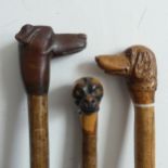 A vintage carved dog head Walking Stick, the head inset with glass eyes, together with two other