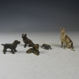 A Continental cold painted bronze figure of a Spaniel, in the Austrian style, stamped 'FOREIGN',