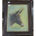 T.B. (20th century), Portrait of a Donkey, head and neck, oil on canvas, signed and dated 1917, 36cm