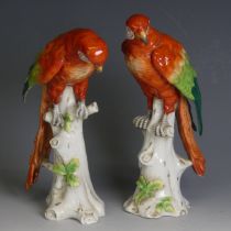 A pair of 19thC Sitzendorf porcelain Parrots, both modelled on branch, restoration to both,