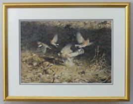 Roger McPhail (b.1953), “Sparrowhawk and Chaffinches”, watercolour, signed lower left, bears gallery