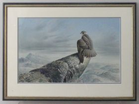 Cyril David Johnston (British b.1946), Tundra Falcon, Lake Harbour, Baffin Island, watercolour,