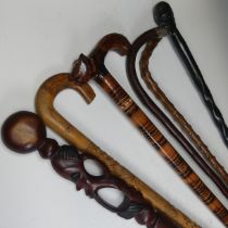 A quantity of early 20th century Walking sticks, including two tribal sticks, and two silver mounted