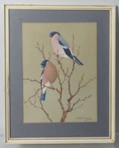 Ralston Gudgeon (British, 1910-1984), Bullfinches, watercolour, signed 'Ralston Gudgeon' lower