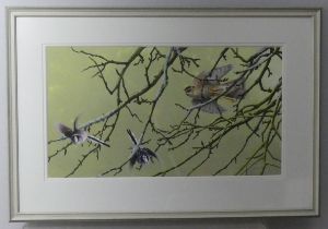 Terence Lambert (b.1951), Sparrowhawk disturbing a pair of Long-tailed Tits, signed bottom right,