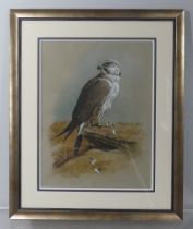 Cyril David Johnston (b.1946), Lugger Falcon, perched atop a boulder, watercolour, signed in pencil,