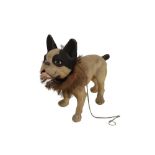 A Life Size French Bulldog Nodder & Growler Pull Toy c.1890