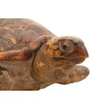 TAXIDERMY: HAWKSBILL TURTLE (ERETMOCHELYS IMBRICATA)