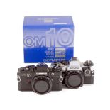 A Good Pair of Olympus OM10 Camera Bodies.