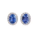 A pair of sapphire and diamond cluster earstuds