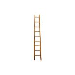 A BAMBOO LEAN-TO LADDER