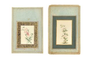 TWO ALBUM PAGE STUDIES OF ROSE BUSHES Qajar Iran, dated 1254 AH (1838 AD) and 1281 AH (1864 AD), sig