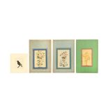 FOUR ALBUM PAGE STUDIES OF BIRDS Mostly Qajar Iran, 19th century, signed Lotf 'Ali and inscribed Muh