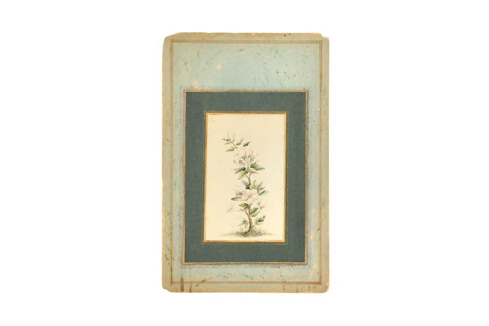TWO ALBUM PAGE STUDIES OF ROSE BUSHES Qajar Iran, dated 1254 AH (1838 AD) and 1281 AH (1864 AD), sig - Image 4 of 5