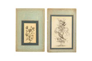 TWO ALBUM PAGE GRISAILLE FLORAL STUDIES Qajar Iran, dated 1258 AH (1842 AD) and 1279 AH (1862 AD), s
